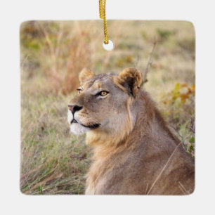 De Cerâmica Ornamento