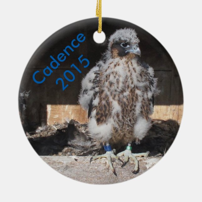 De Cerâmica Ornamento 2015 da cadência (Traseira)