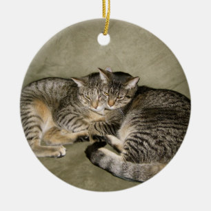 De Cerâmica Ornamento adorável do gato