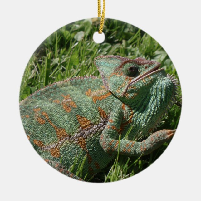 De Cerâmica Ornamento agressivo do camaleão (Frente)