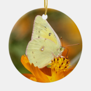 De Cerâmica Ornamento amarelo da borboleta