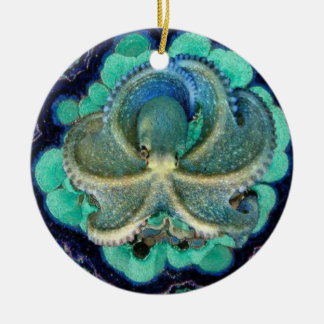 De Cerâmica Ornamento azul do polvo