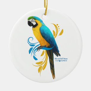 De Cerâmica Ornamento azul e Dourado do Macaw