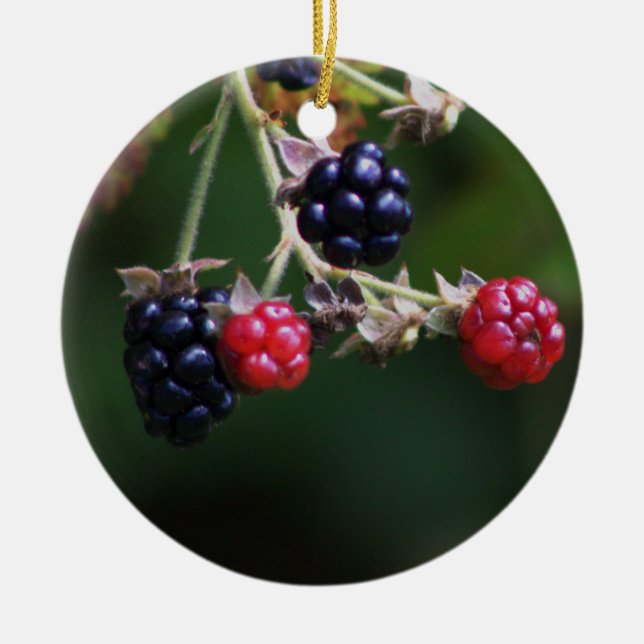 De Cerâmica Ornamento Berry Branches (Frente)