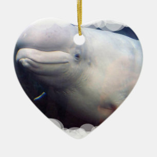 De Cerâmica Ornamento bonito da baleia da beluga