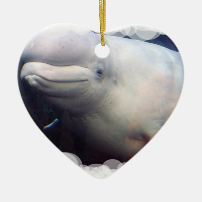 De Cerâmica Ornamento bonito da baleia da beluga (Frente)