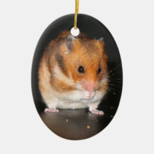 De Cerâmica Ornamento bonito do hamster