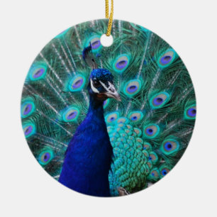 De Cerâmica Ornamento bonito do pavão