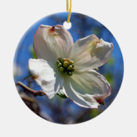 Ornamento branco da flor do Dogwood