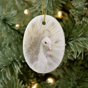 De Cerâmica Ornamento branco do pavão