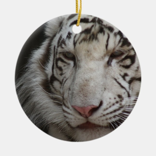 De Cerâmica Ornamento branco do tigre (Frente)
