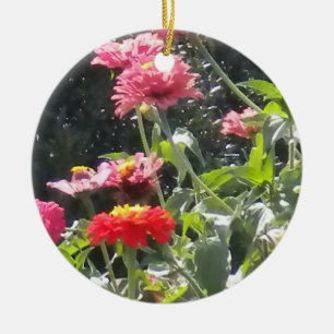 De Cerâmica Ornamento brilhante dos Zinnias