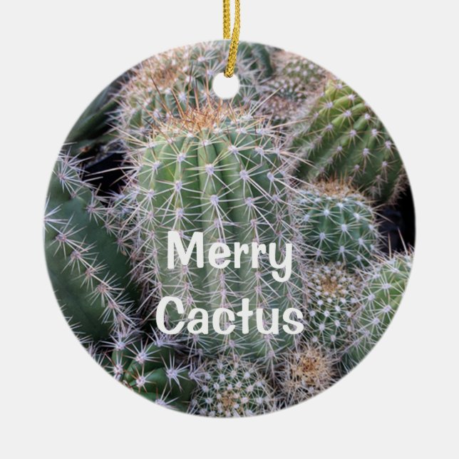 De Cerâmica Ornamento Cactus (Frente)