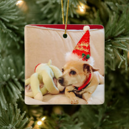 De Cerâmica Ornamento Canto Natal Chihuahua Vermelho Cerâmico