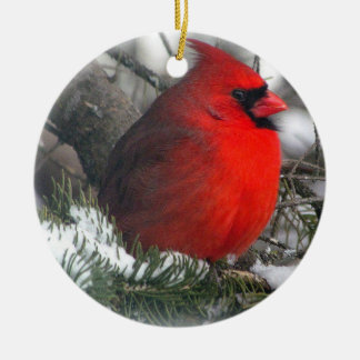 De Cerâmica Ornamento cardinal