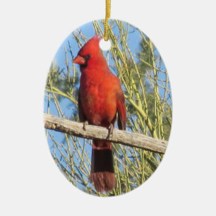 De Cerâmica Ornamento cardinal