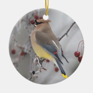 De Cerâmica Ornamento Cedar Waxwing Eating Berries