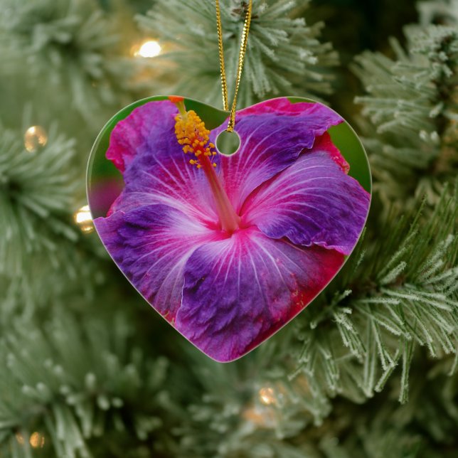 De Cerâmica Ornamento cerâmico da flor do hibiscus (Árvore)