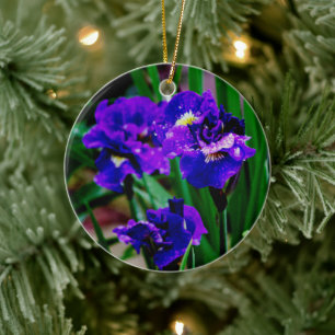 De Cerâmica Ornamento cerâmico das flores da Iris