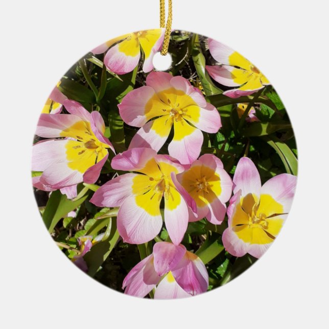 De Cerâmica Ornamento Cerâmico das Flores Rosa e Amarelo (Frente)