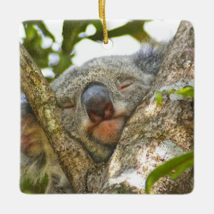 De Cerâmica Ornamento cerâmico do Koala