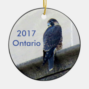 De Cerâmica Ornamento cerâmico Ontário 2017