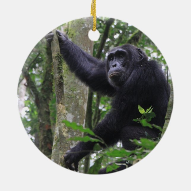 De Cerâmica Ornamento Chimpanzé (Traseira)