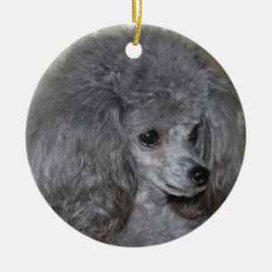 De Cerâmica Ornamento cinzento da caniche
