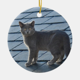 De Cerâmica Ornamento cinzento do gatinho
