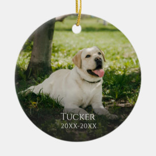 De Cerâmica Ornamento Clássico do Memorial Pet Personalizado