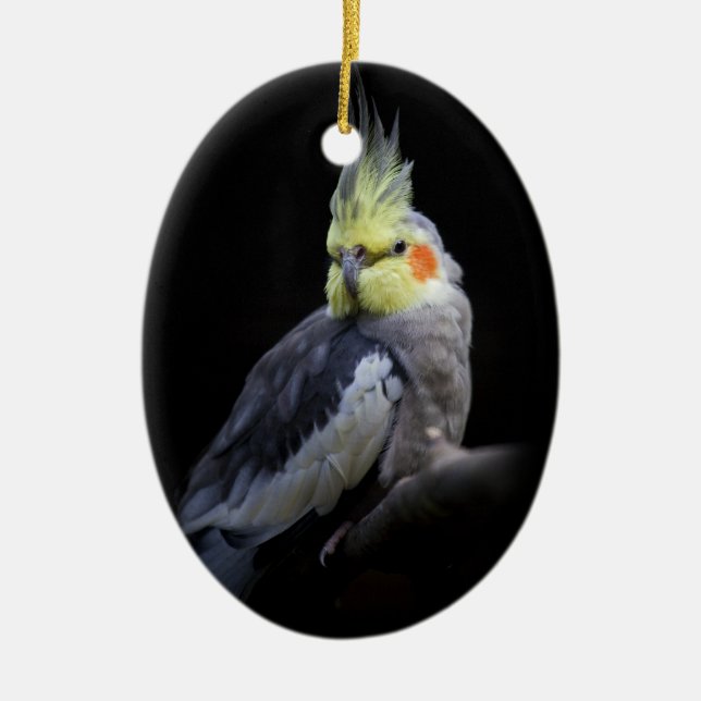 De Cerâmica Ornamento Cockatiel (Frente)