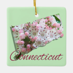 De Cerâmica Ornamento - CONNECTICUT