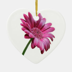De Cerâmica Ornamento cor-de-rosa da margarida do Gerbera