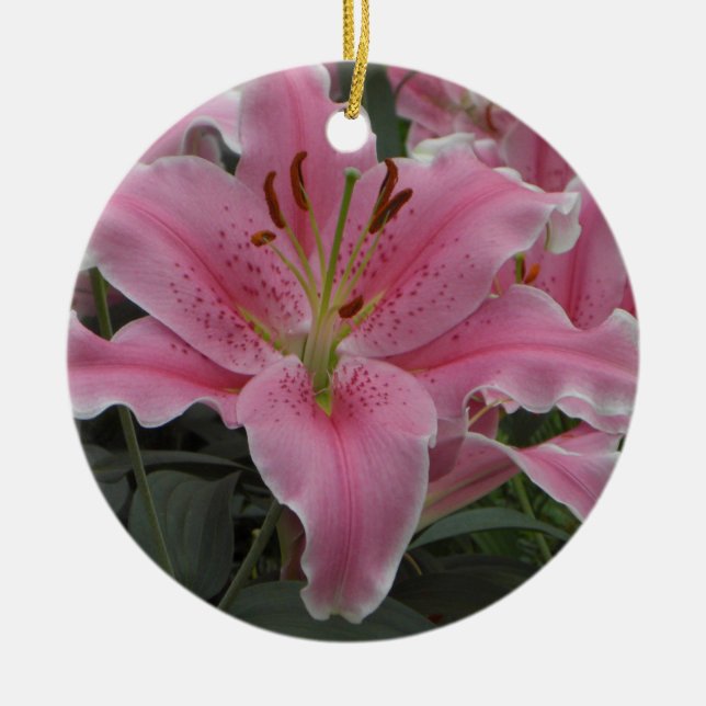 De Cerâmica Ornamento cor-de-rosa do lírio (Frente)