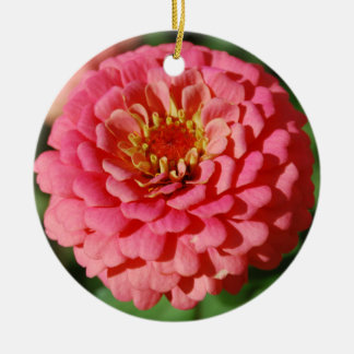 De Cerâmica Ornamento cor-de-rosa do Zinnia