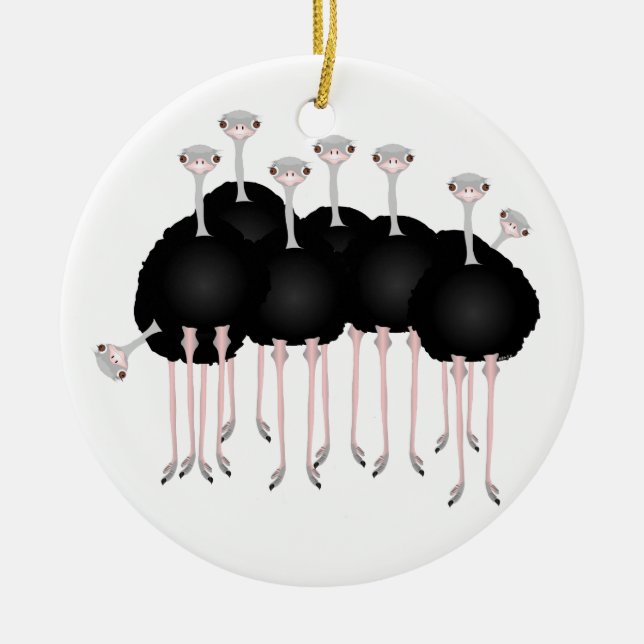 De Cerâmica Ornamento da avestruz (Frente)