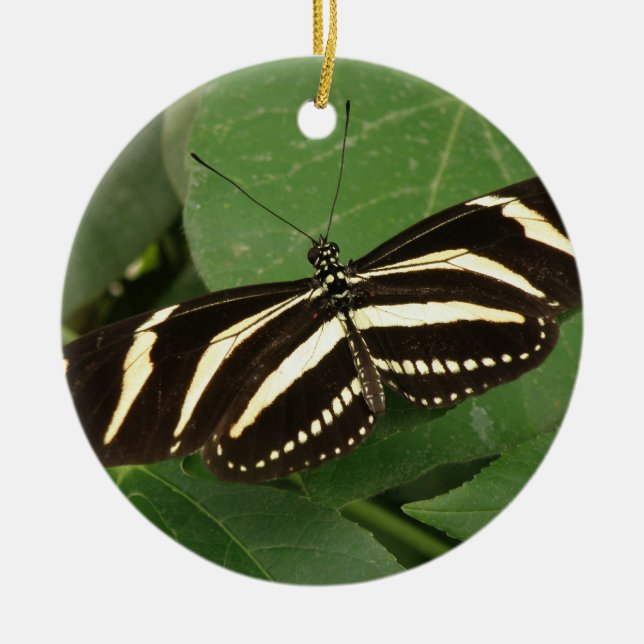 De Cerâmica Ornamento da Borboleta Zebra Longwing (Frente)
