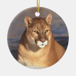 De Cerâmica Ornamento da cara do puma