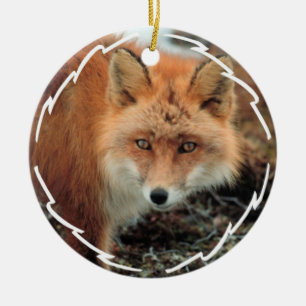 De Cerâmica Ornamento da espécie do Fox