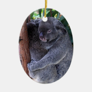 De Cerâmica Ornamento da família do Koala