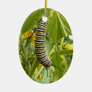 De Cerâmica Ornamento da foto