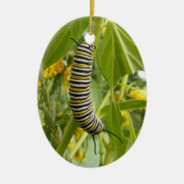 De Cerâmica Ornamento da foto (Frente)