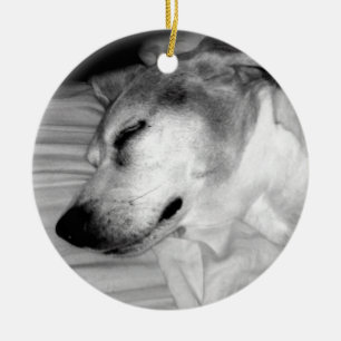 De Cerâmica ornamento da foto do cão 311-Custom