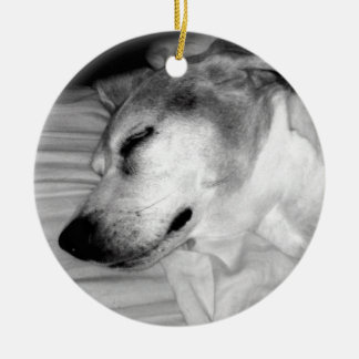 De Cerâmica ornamento da foto do cão 311-Custom