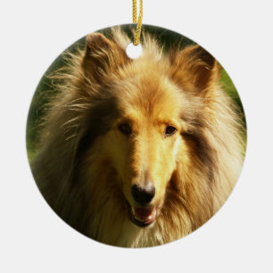 De Cerâmica Ornamento da raça do cão do Collie