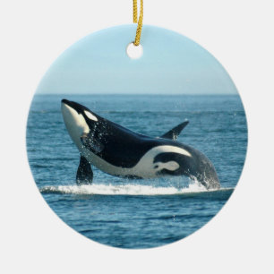 De Cerâmica Ornamento da ruptura da orca