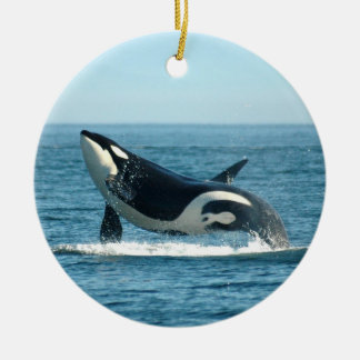 De Cerâmica Ornamento da ruptura da orca
