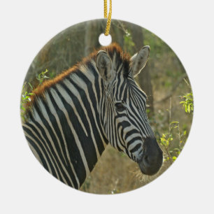 De Cerâmica Ornamento da zebra