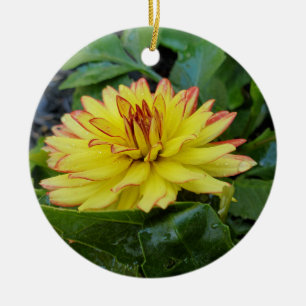 De Cerâmica ornamento Dahlia
