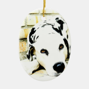 De Cerâmica Ornamento Dalmatian do sono